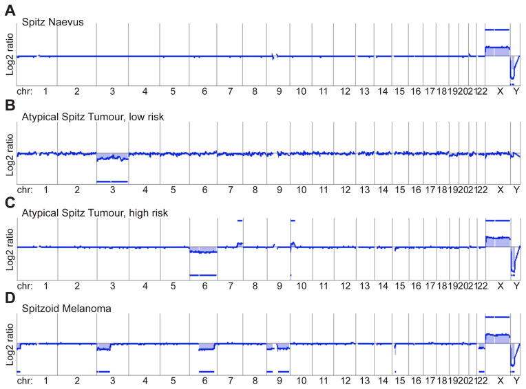 Fig. 10