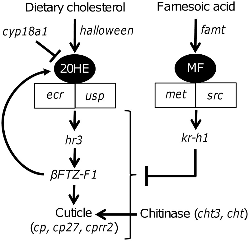 Fig 5