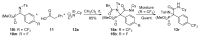 Scheme 4