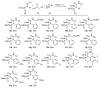 Scheme 2