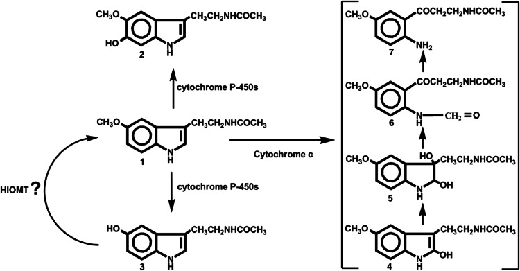 Fig. 2