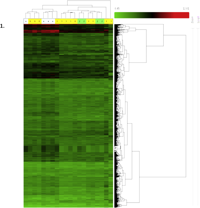 Fig. 1