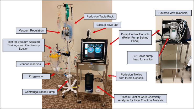 Figure 2