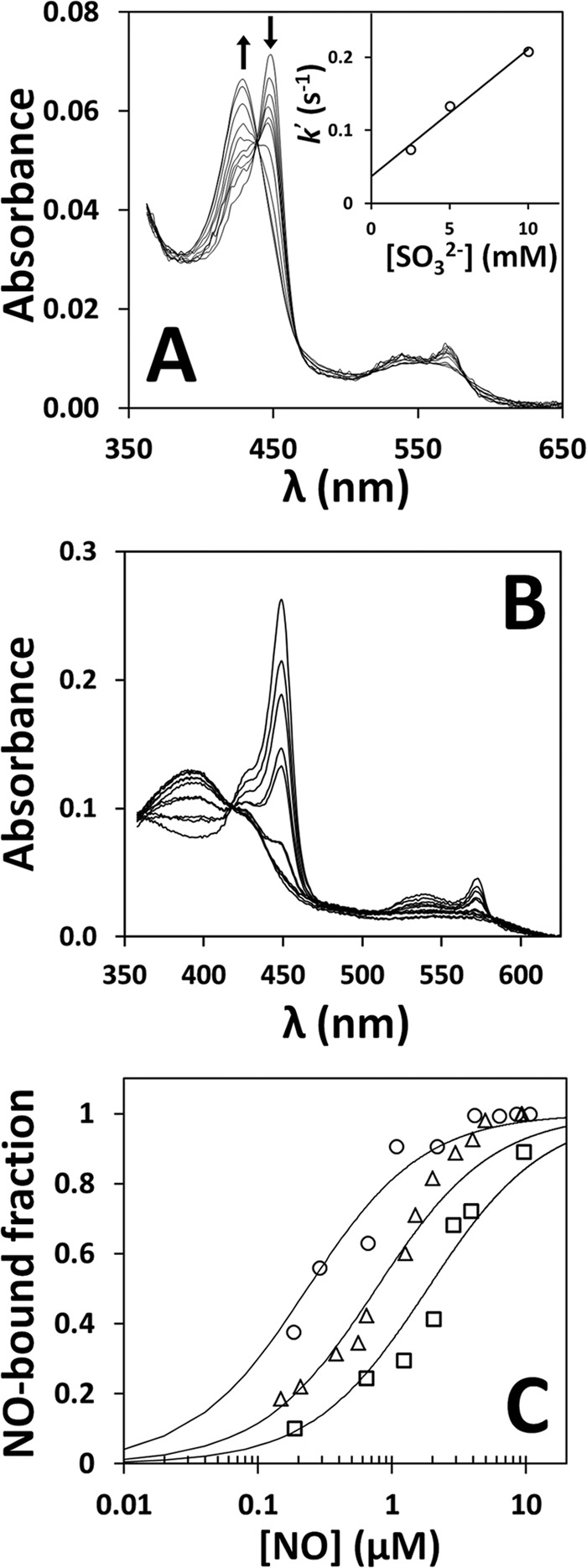 FIGURE 1.