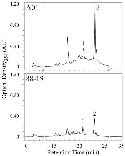 Figure 4.