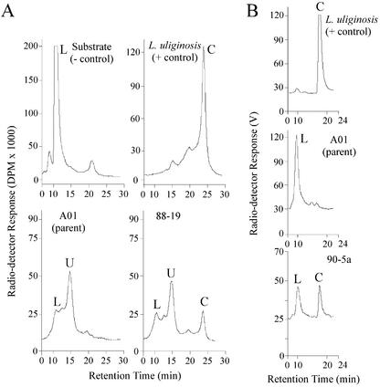 Figure 5.