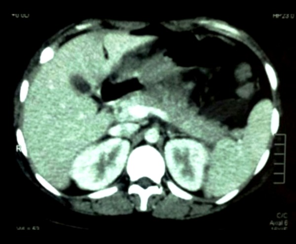 Figure 1.