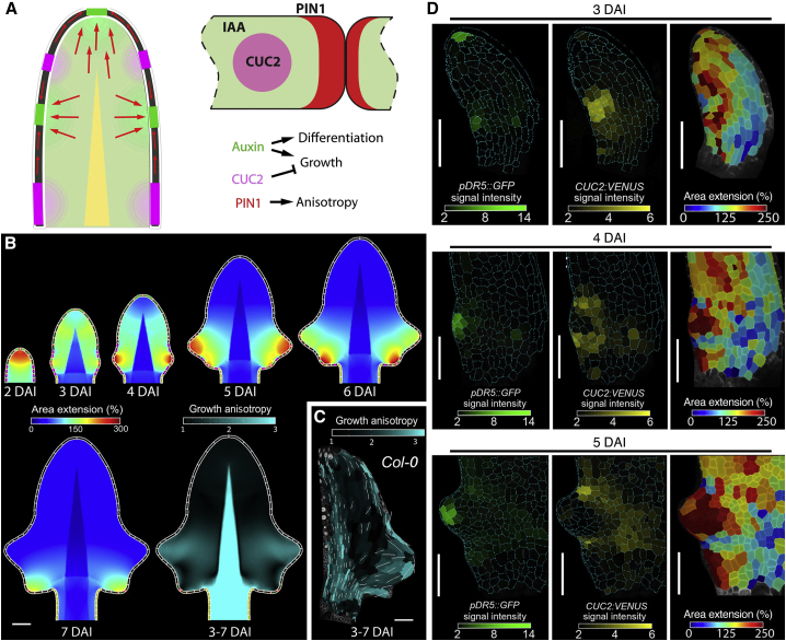 Figure 3