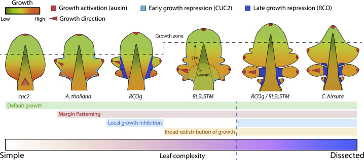 Figure 7