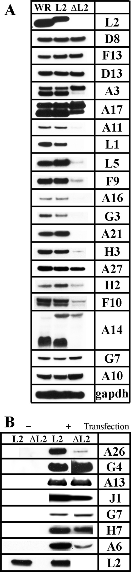 Fig 7