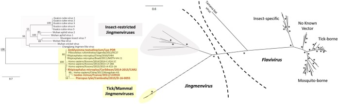 FIG 3