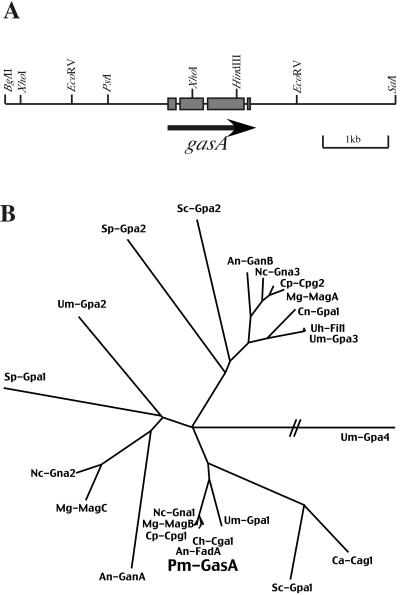 FIG. 1.