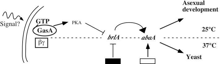 FIG. 6.