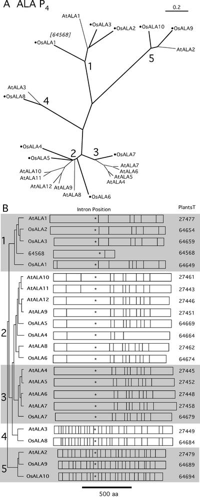 Figure 6.