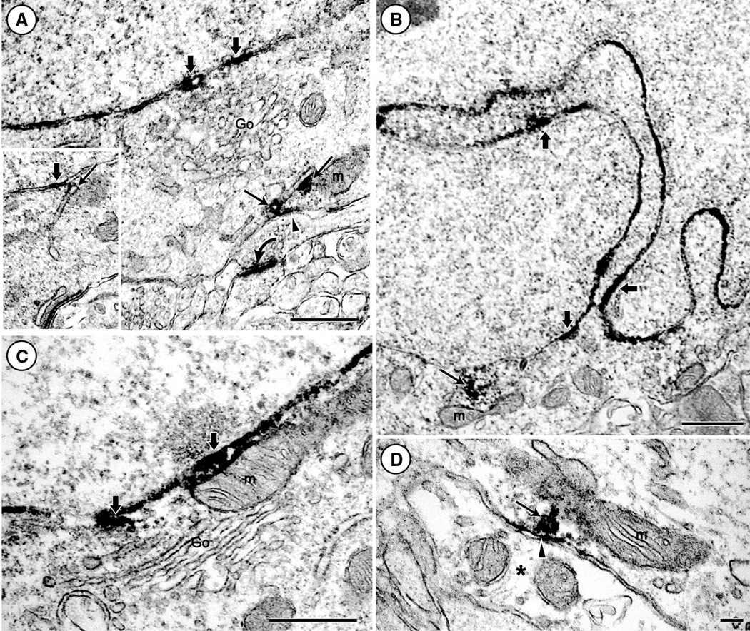 Fig. 7