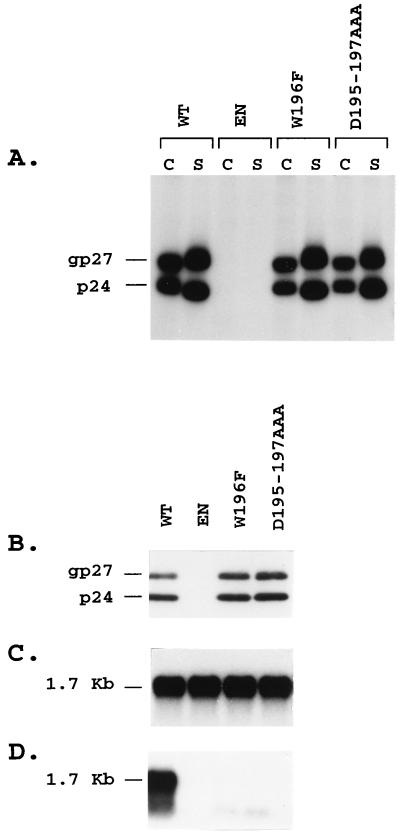 FIG. 6