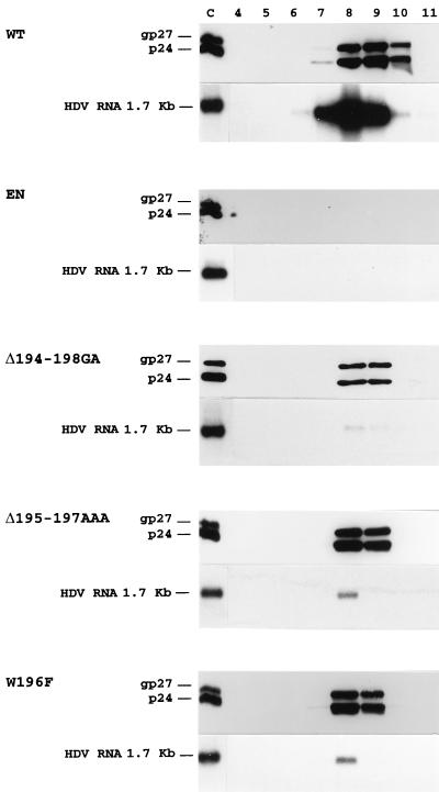 FIG. 7