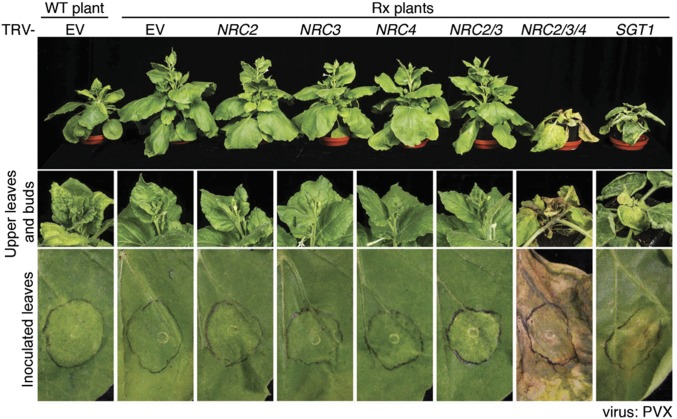 Fig. 3.