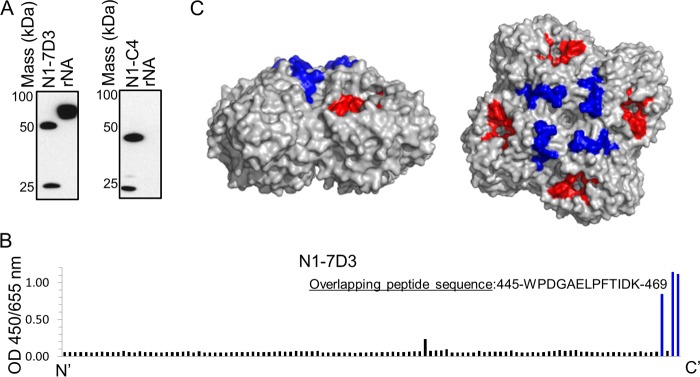 FIG 3