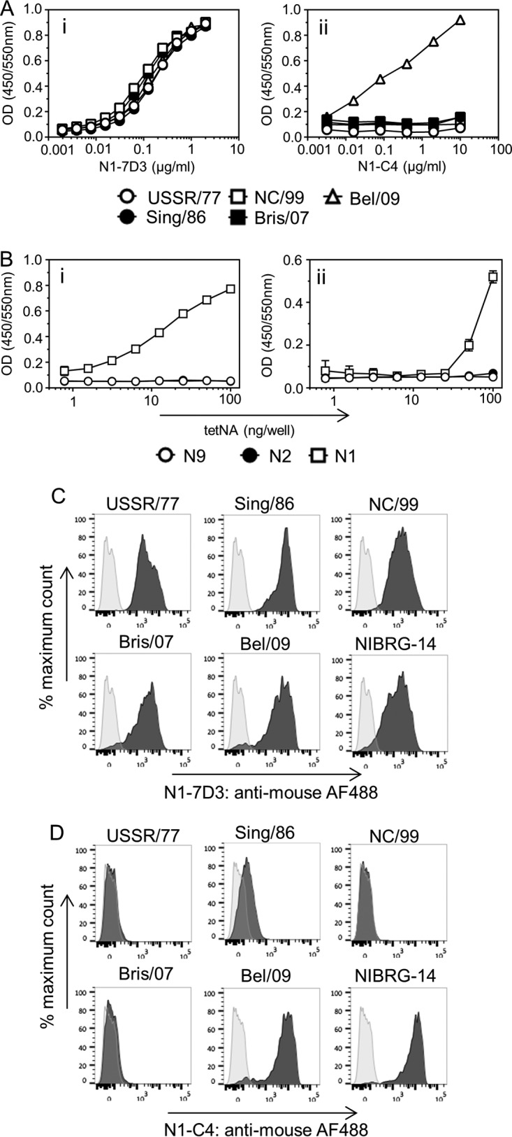 FIG 1