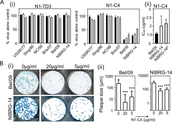 FIG 2