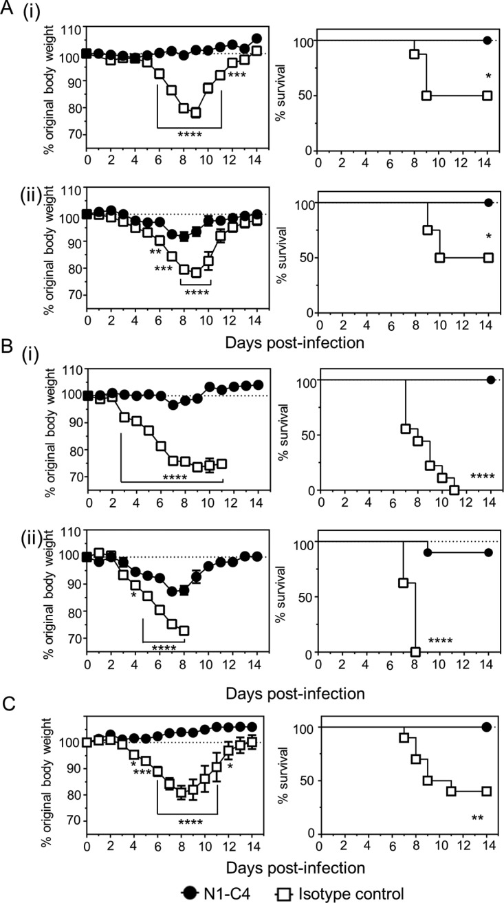 FIG 6