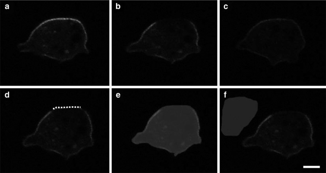 Fig. 5