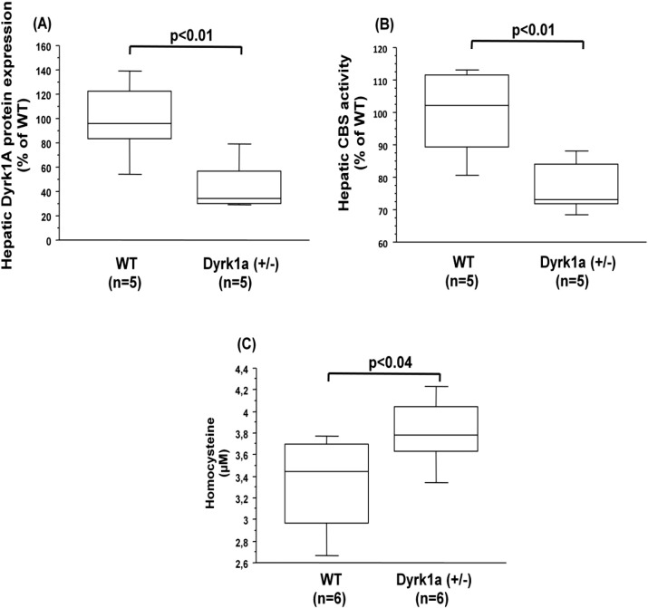 Fig. 1