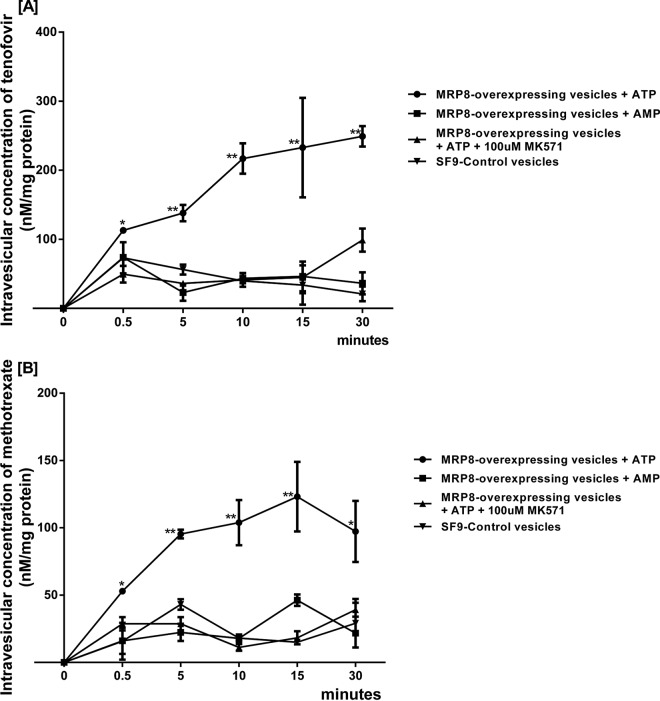 FIG 6