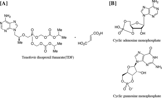 FIG 1