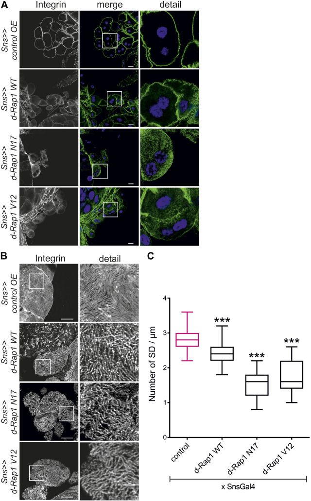 FIGURE 3