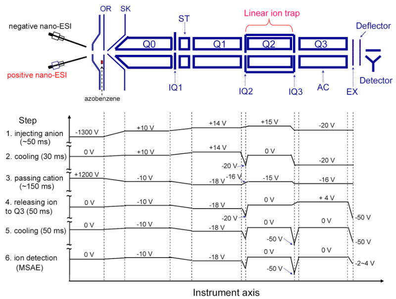 Scheme 2