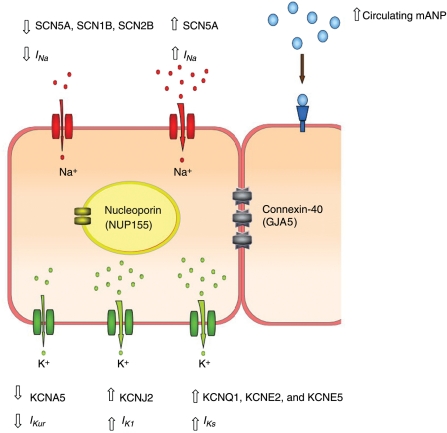 Figure 1