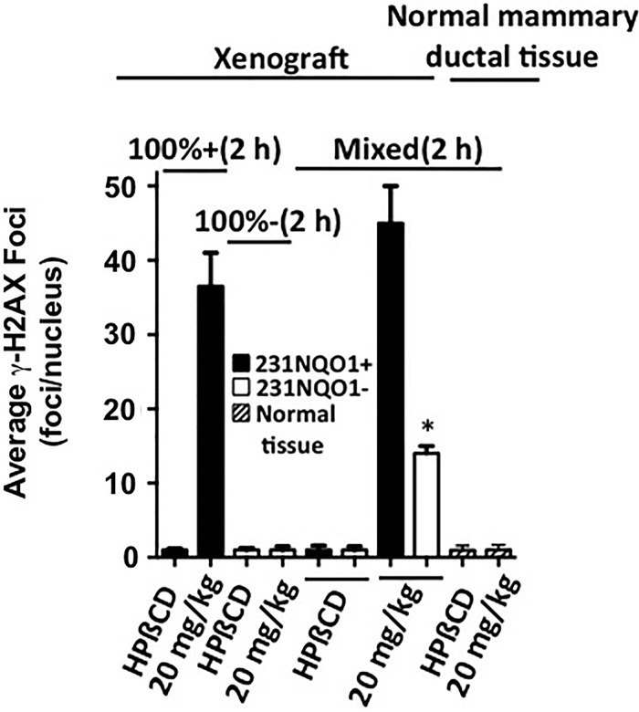 FIG. 9.