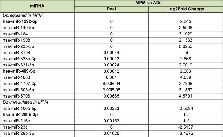 Table 3