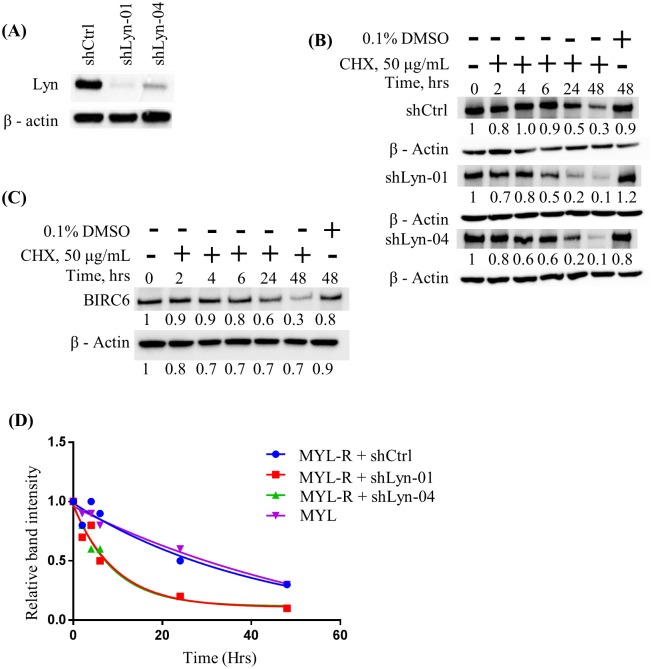 Fig 5