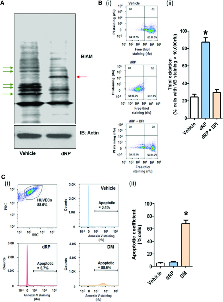 FIG. 6.