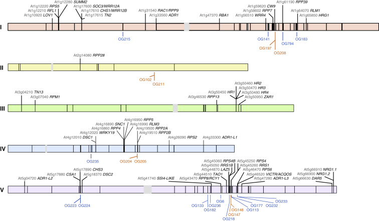 Figure 4