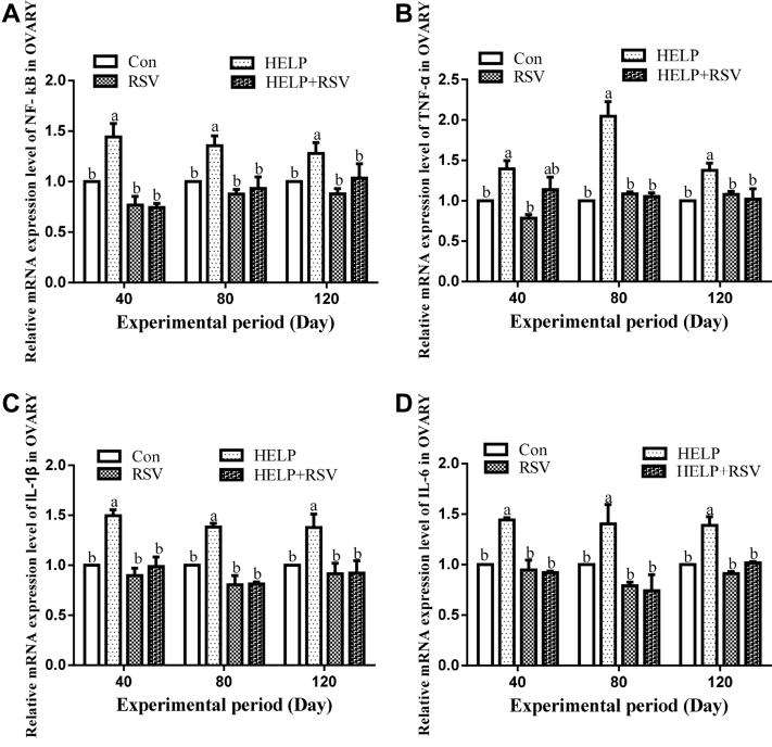 Figure 6