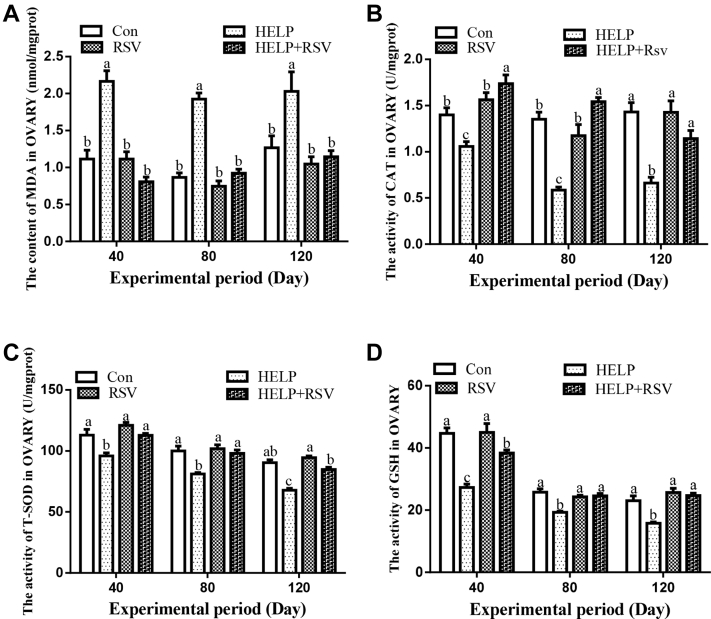 Figure 4