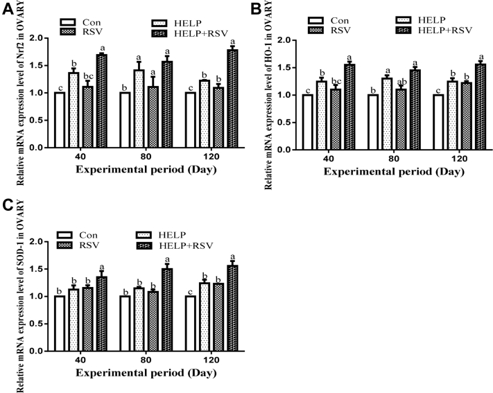 Figure 5