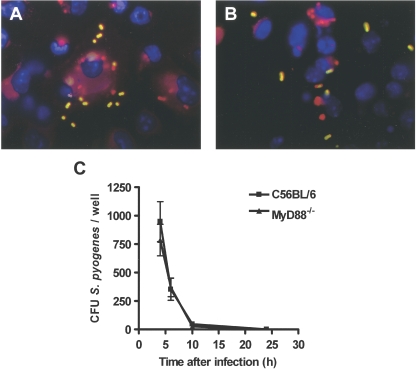 FIG. 4.