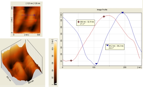 Figure 3.