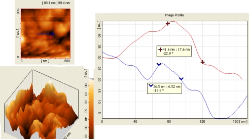 Figure 4.