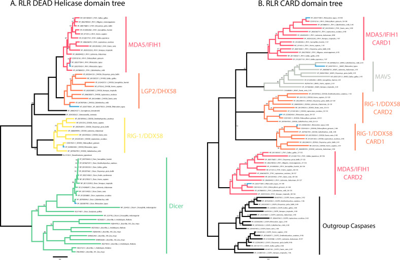 Figure 2—figure supplement 3.