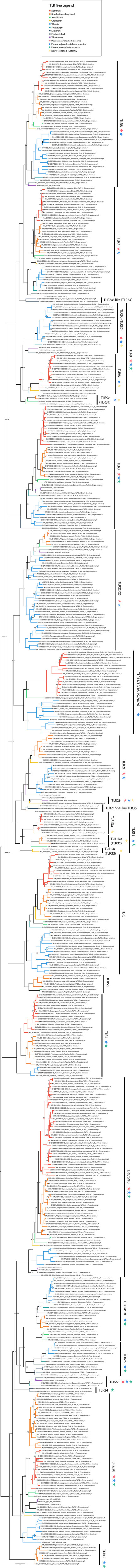 Figure 2—figure supplement 4.