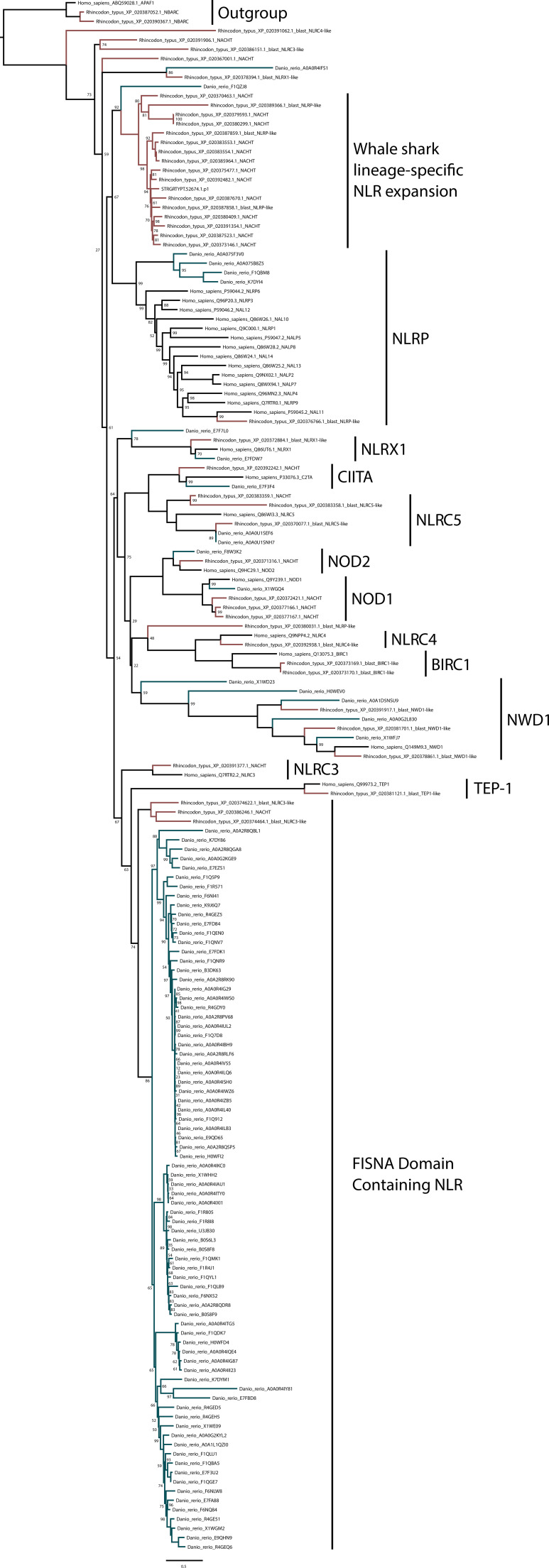 Figure 2—figure supplement 1.