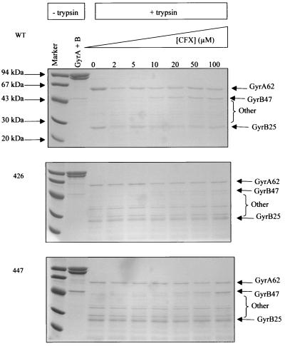 FIG. 7.