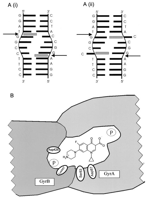 FIG. 8.