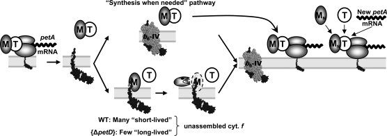 Figure 12.